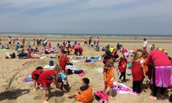 CLSH Ete 2017   008